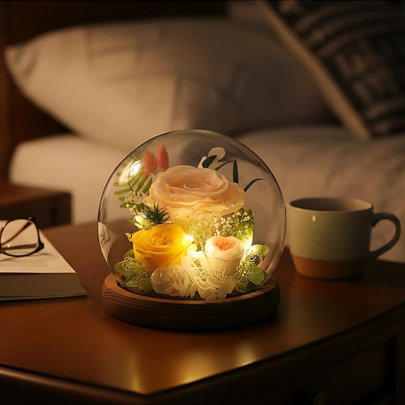 قبة زهرة الورد الشمبانيا المجففة يدويًا مع قاعدة خشبية هدية لعيد الحب والتخرج - Image 3